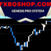Genesis Indicator The Non-repainted Revolution Of Binary Options And Forex Trades