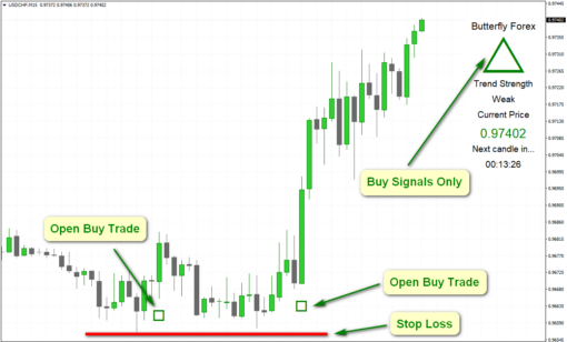 Butterfly forex Real Trend Dominator Forex Software